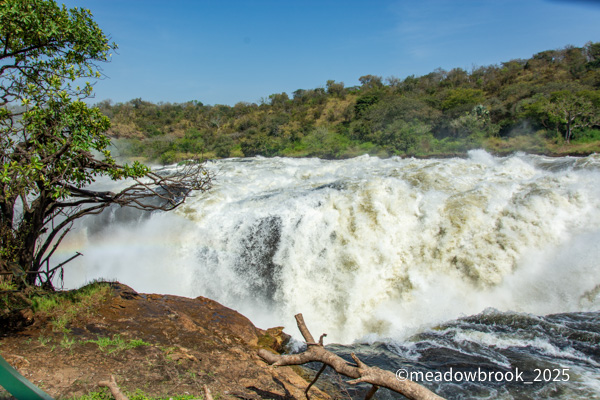 Murchison Falls in Uganda